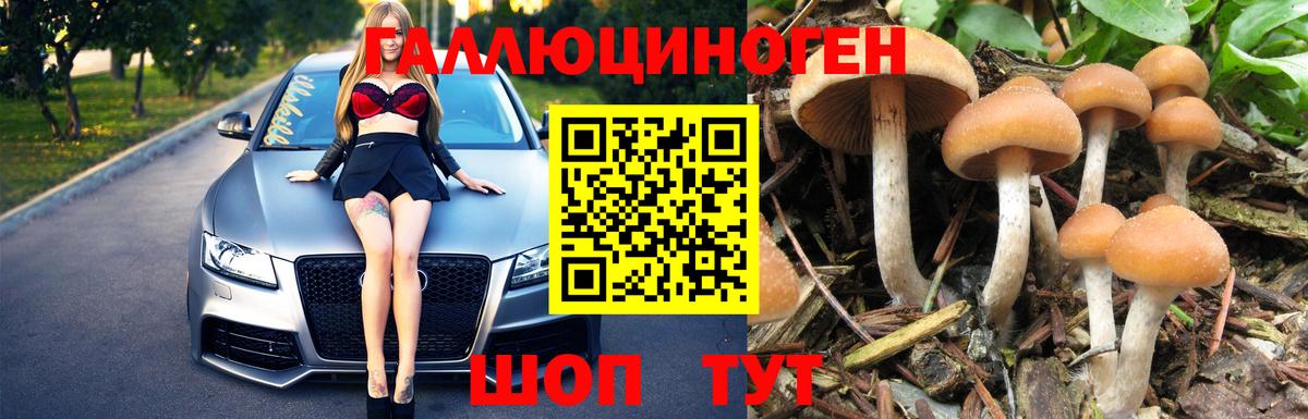 Псилоцибиновые грибы Magic Shrooms  наркошоп  Вход с VPN  Севастополь  Галлюциногенные грибы прущие грибы 